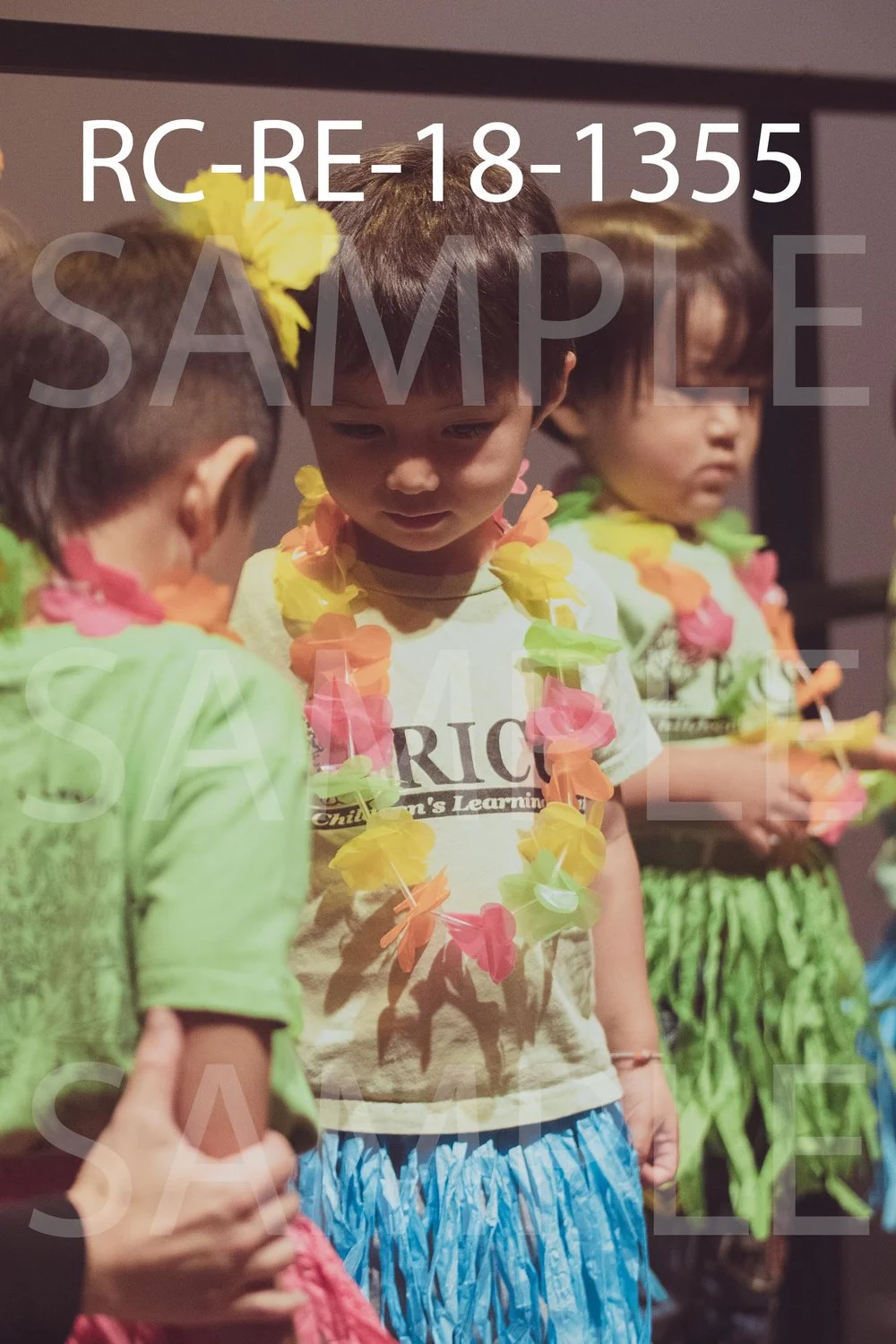 RC-RE-18-1355.jpg