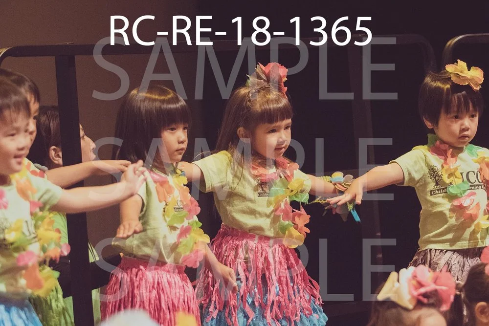 RC-RE-18-1365.jpg