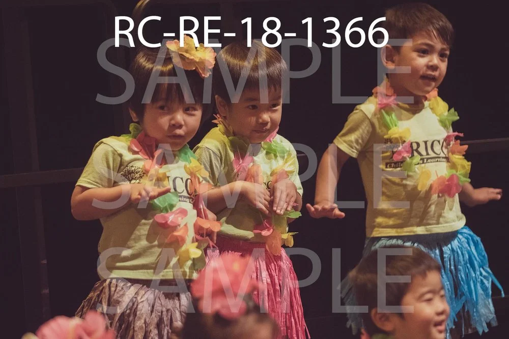 RC-RE-18-1366.jpg