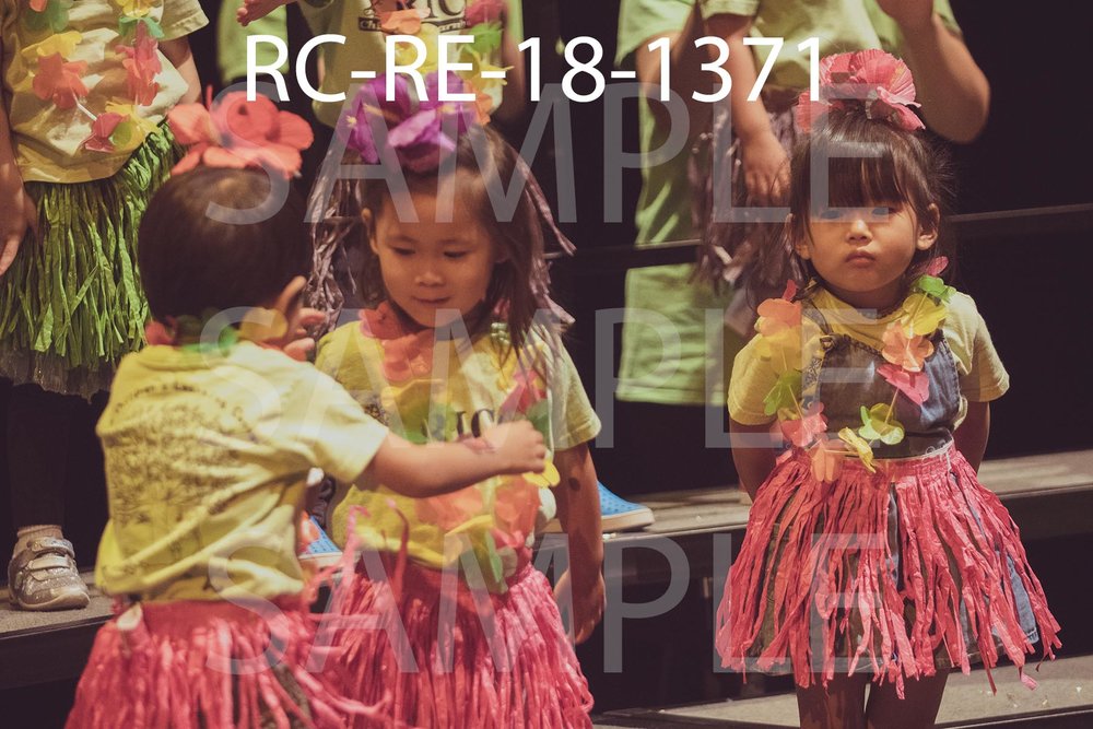 RC-RE-18-1371.jpg