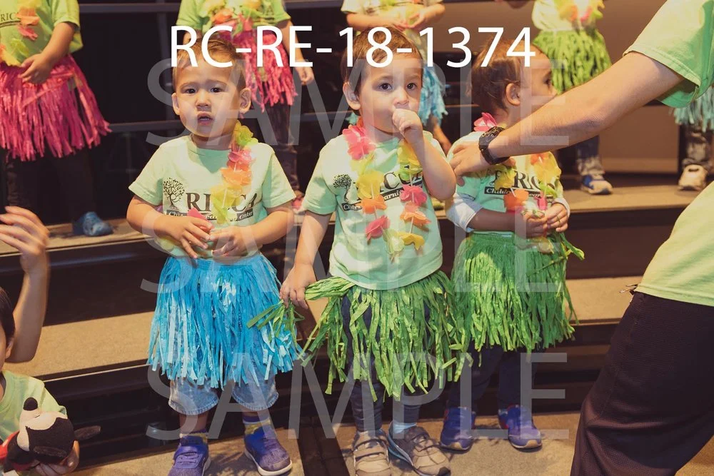 RC-RE-18-1374.jpg