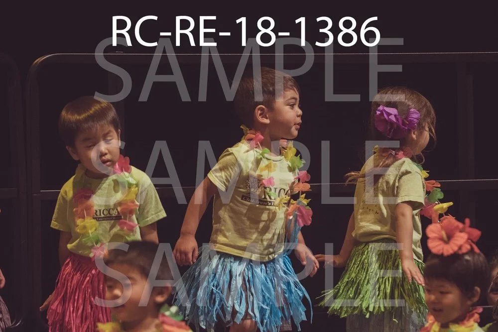 RC-RE-18-1386.jpg