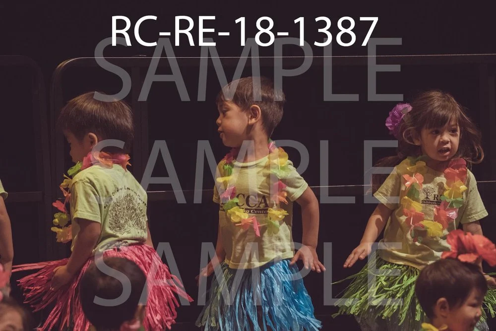 RC-RE-18-1387.jpg