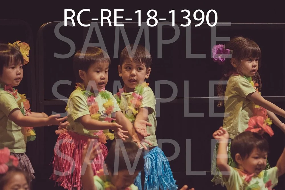 RC-RE-18-1390.jpg