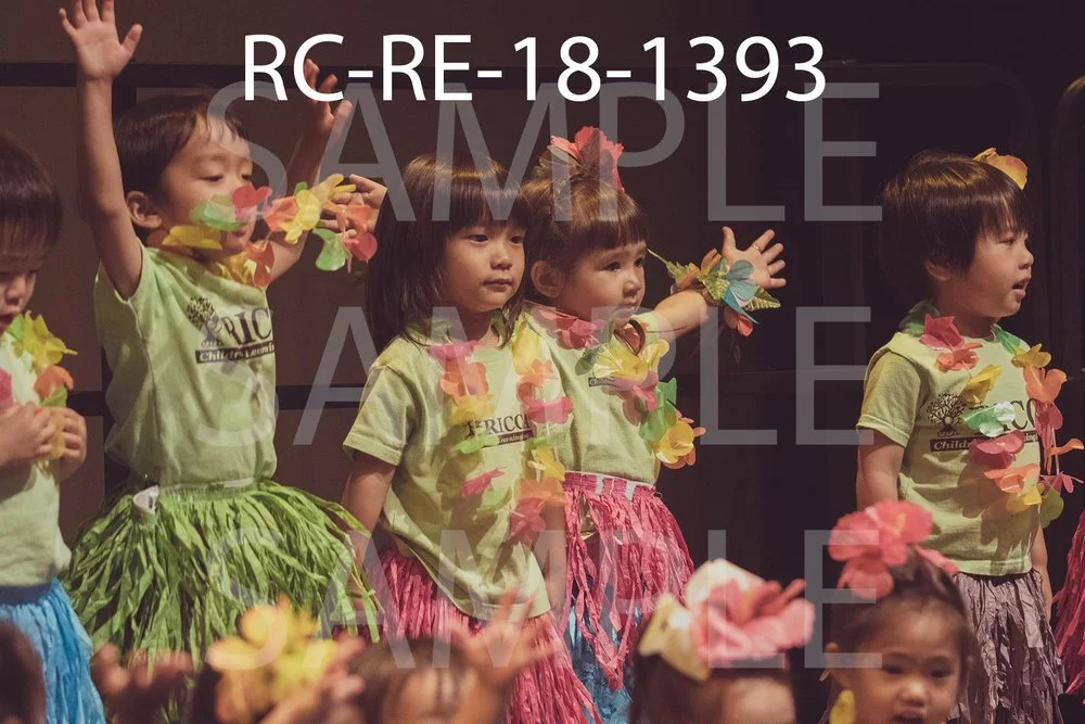 RC-RE-18-1393.jpg
