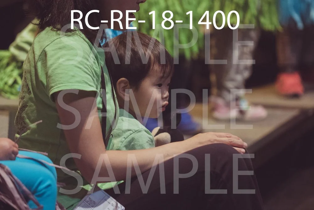 RC-RE-18-1400.jpg