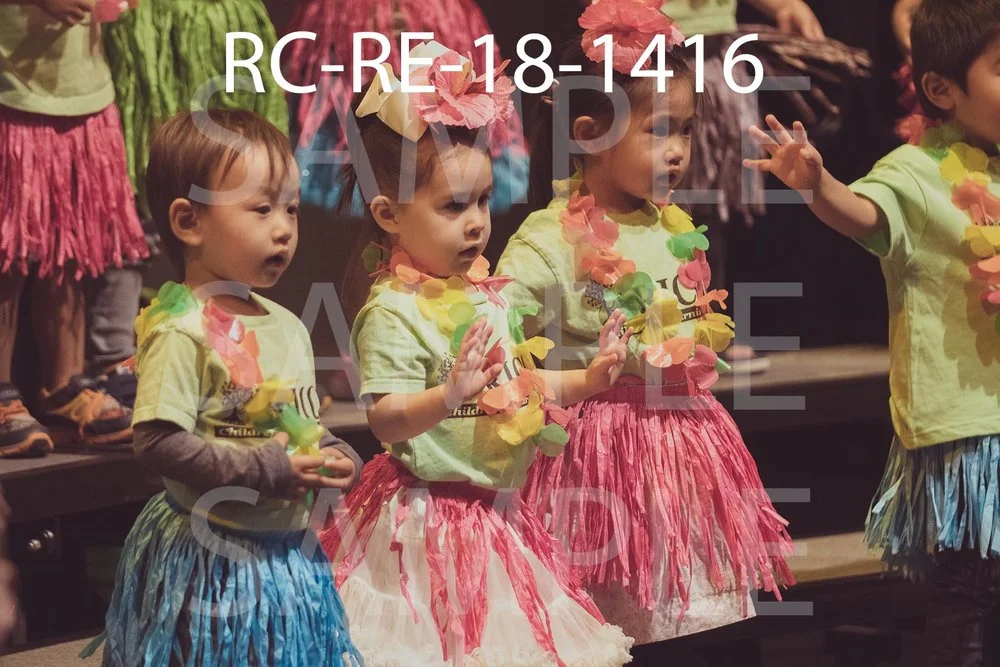 RC-RE-18-1416.jpg