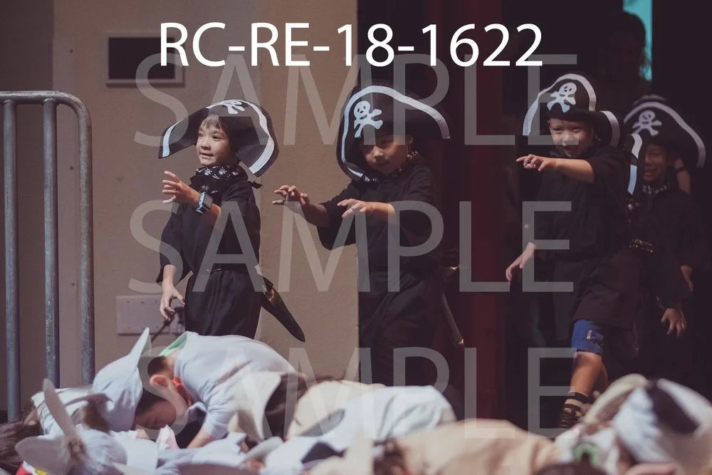 RC-RE-18-1622.jpg