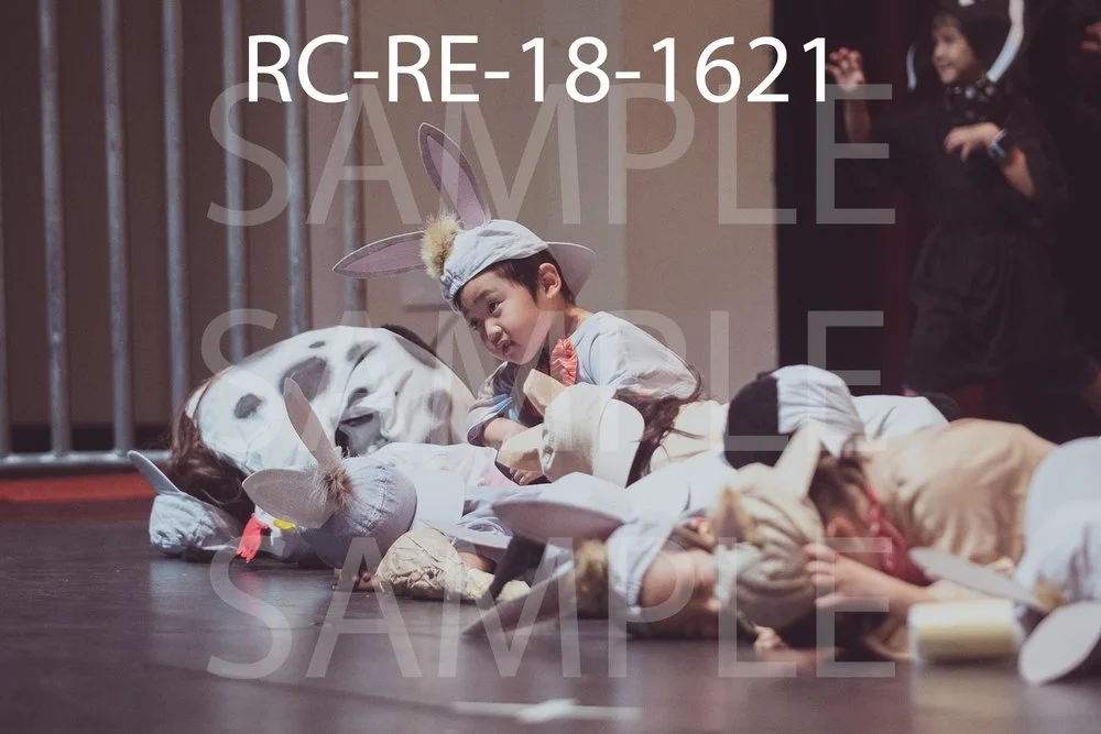 RC-RE-18-1621.jpg