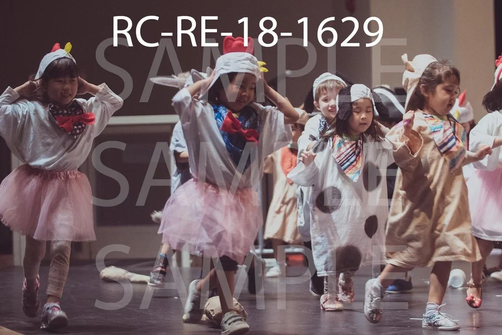 RC-RE-18-1629.jpg