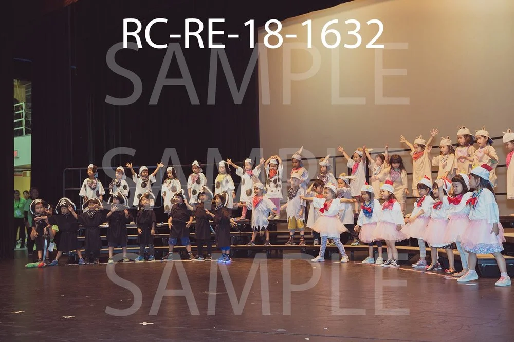 RC-RE-18-1632.jpg