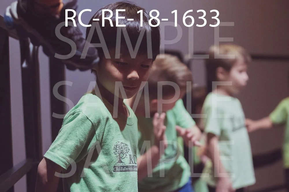 RC-RE-18-1633.jpg