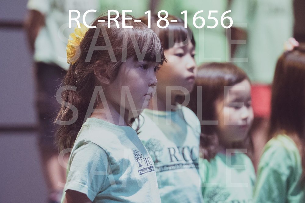 RC-RE-18-1656.jpg