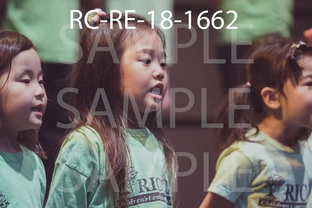 RC-RE-18-1662.jpg
