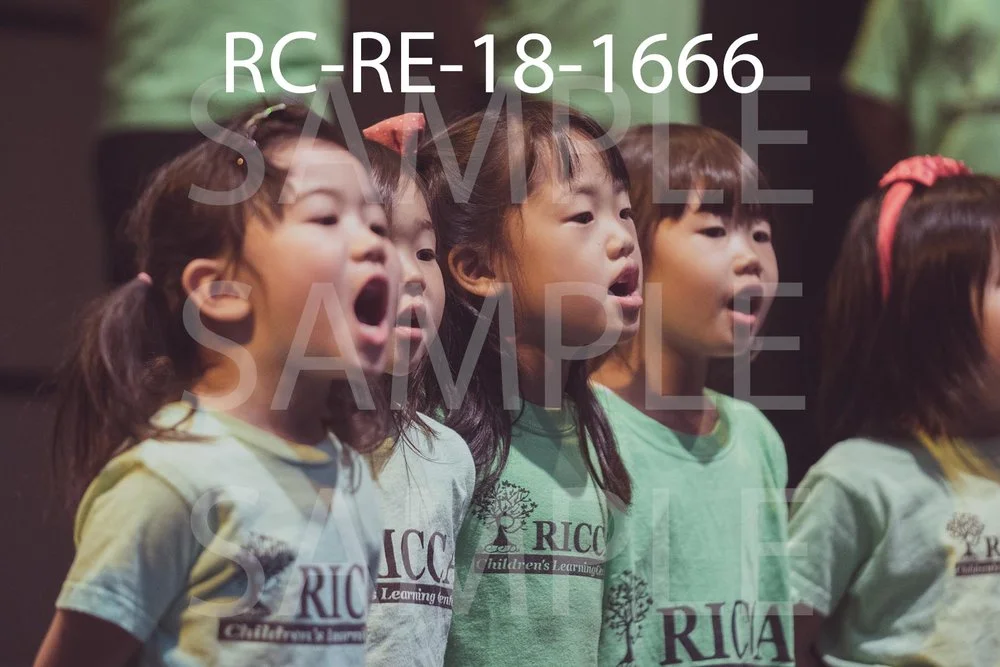 RC-RE-18-1666.jpg