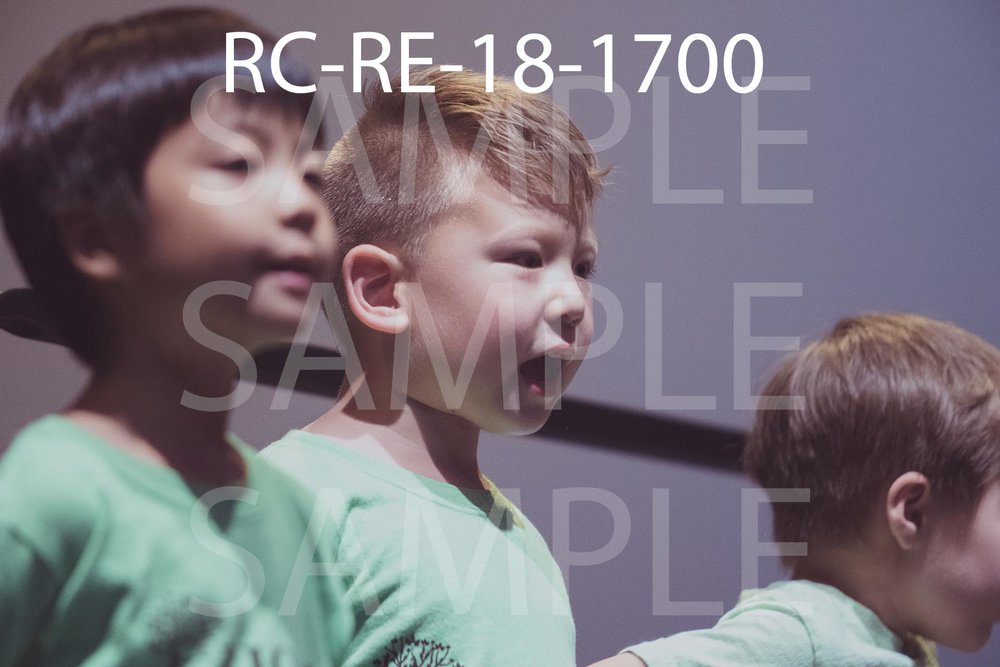 RC-RE-18-1700.jpg