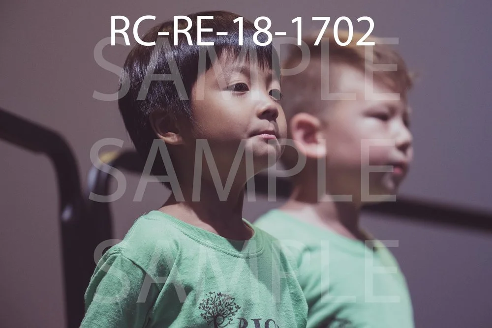 RC-RE-18-1702.jpg