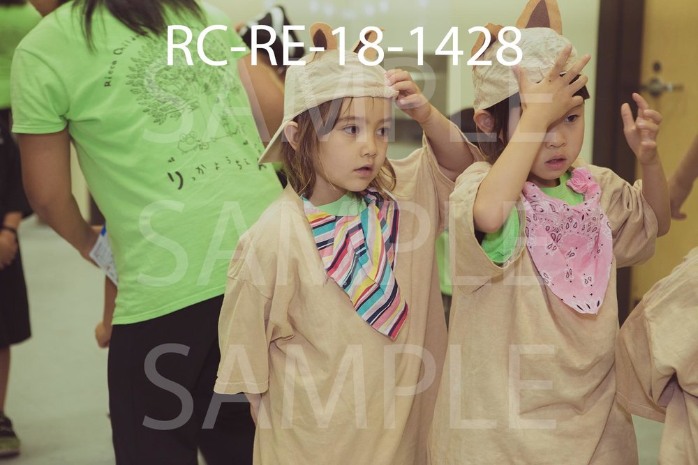 RC-RE-18-1428.jpg