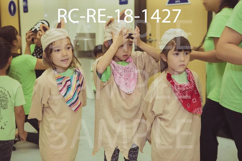 RC-RE-18-1427.jpg