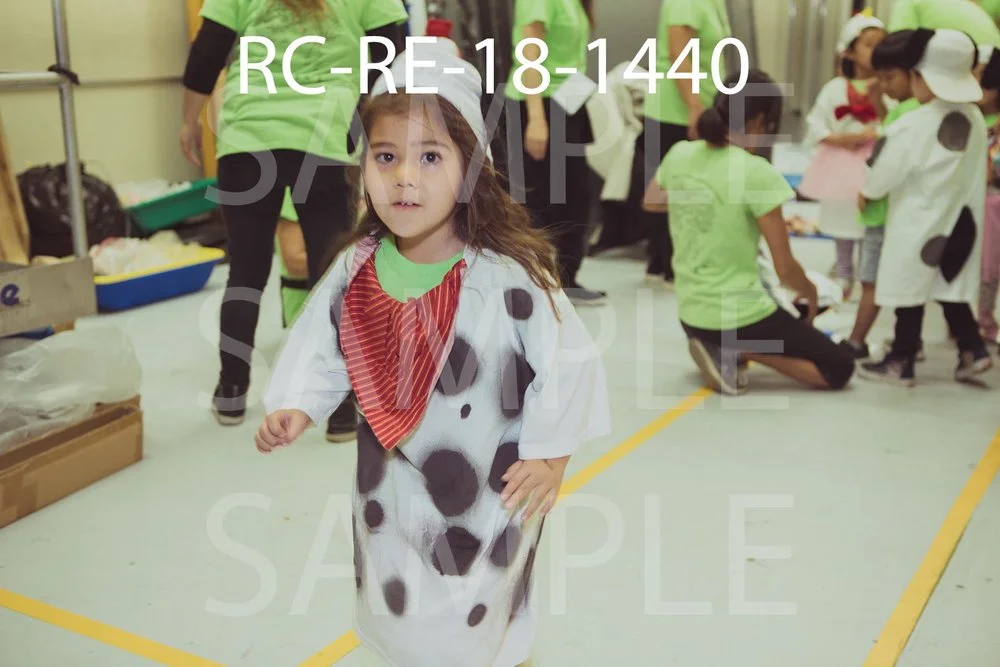 RC-RE-18-1440.jpg
