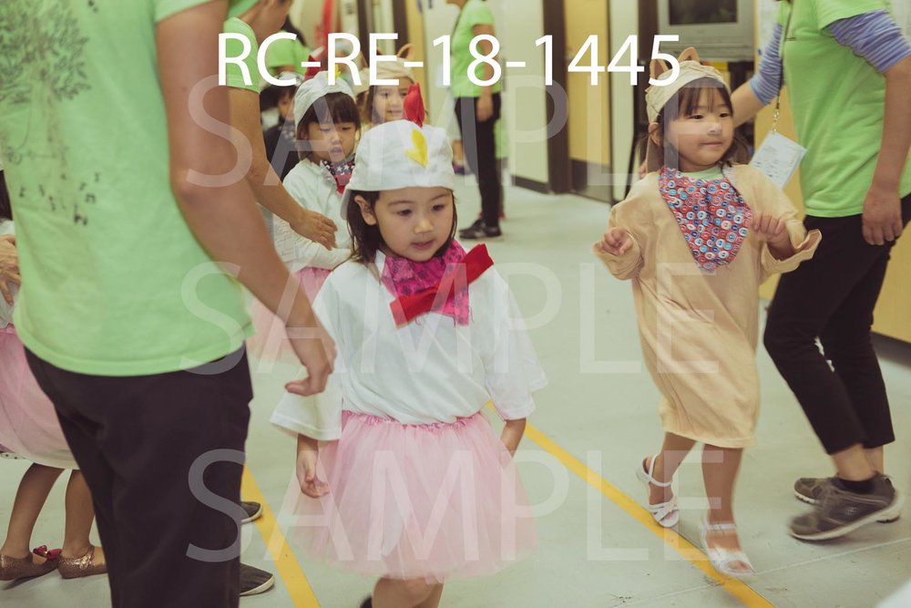 RC-RE-18-1445.jpg