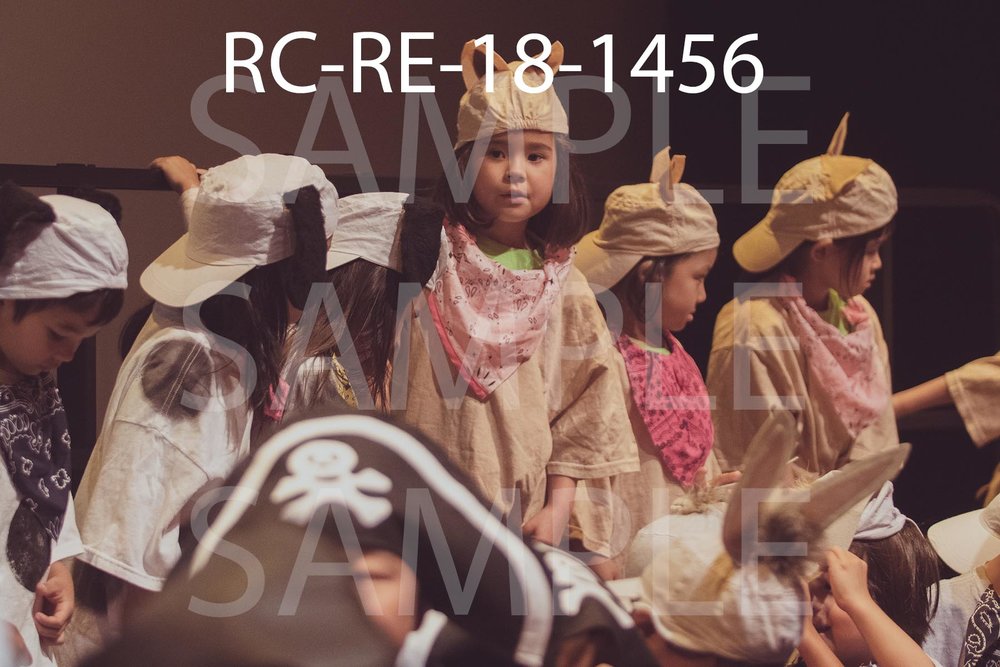 RC-RE-18-1456.jpg