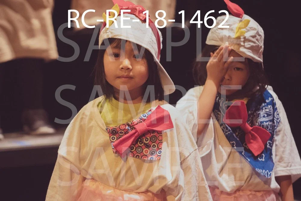 RC-RE-18-1462.jpg