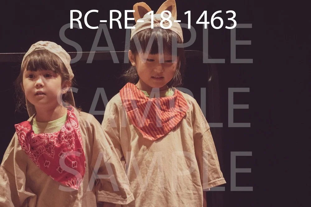 RC-RE-18-1463.jpg