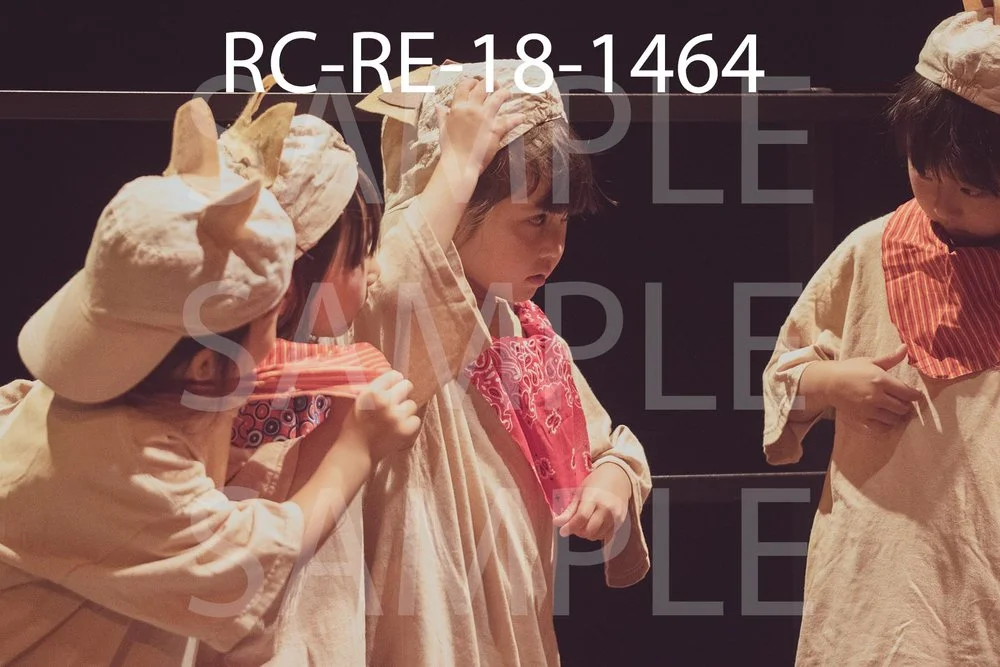 RC-RE-18-1464.jpg