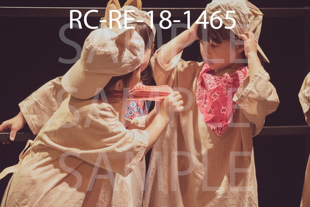 RC-RE-18-1465.jpg