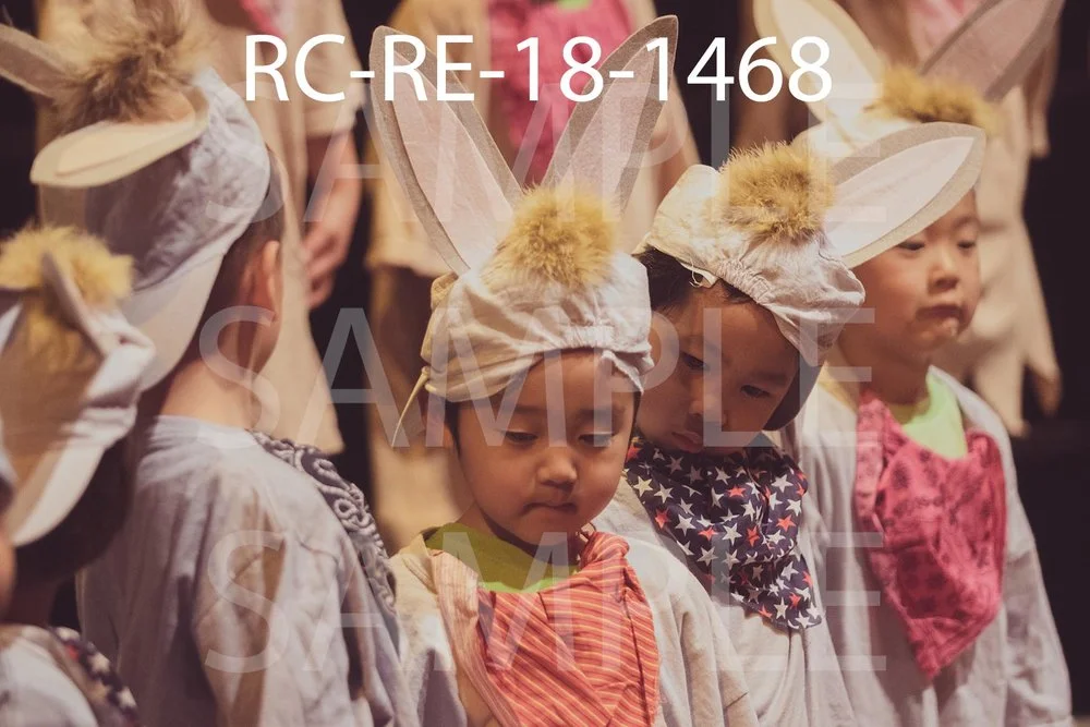 RC-RE-18-1468.jpg