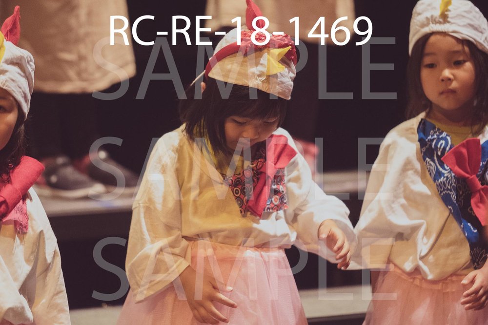 RC-RE-18-1469.jpg