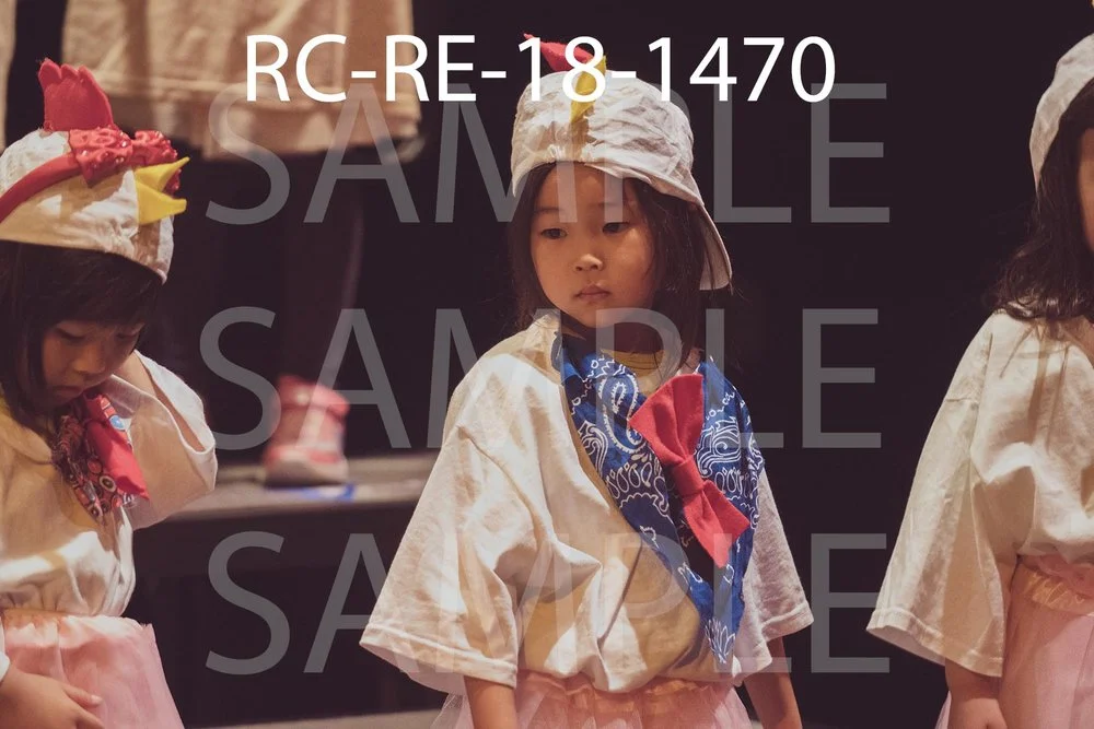 RC-RE-18-1470.jpg