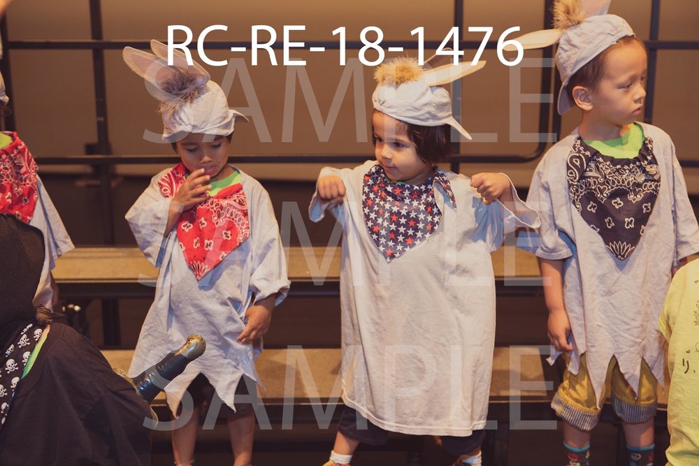 RC-RE-18-1476.jpg