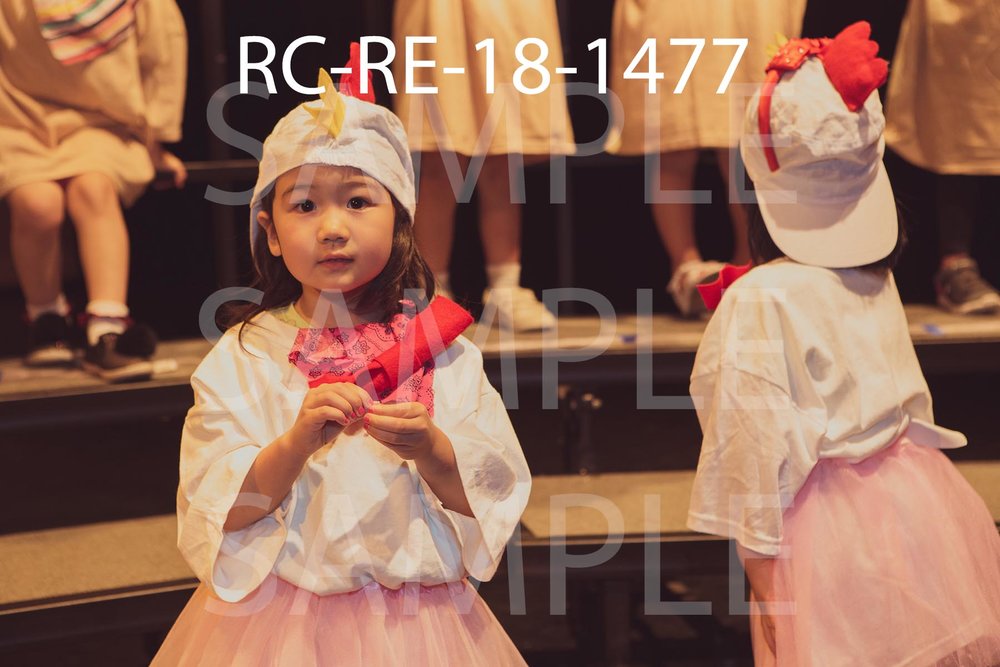RC-RE-18-1477.jpg