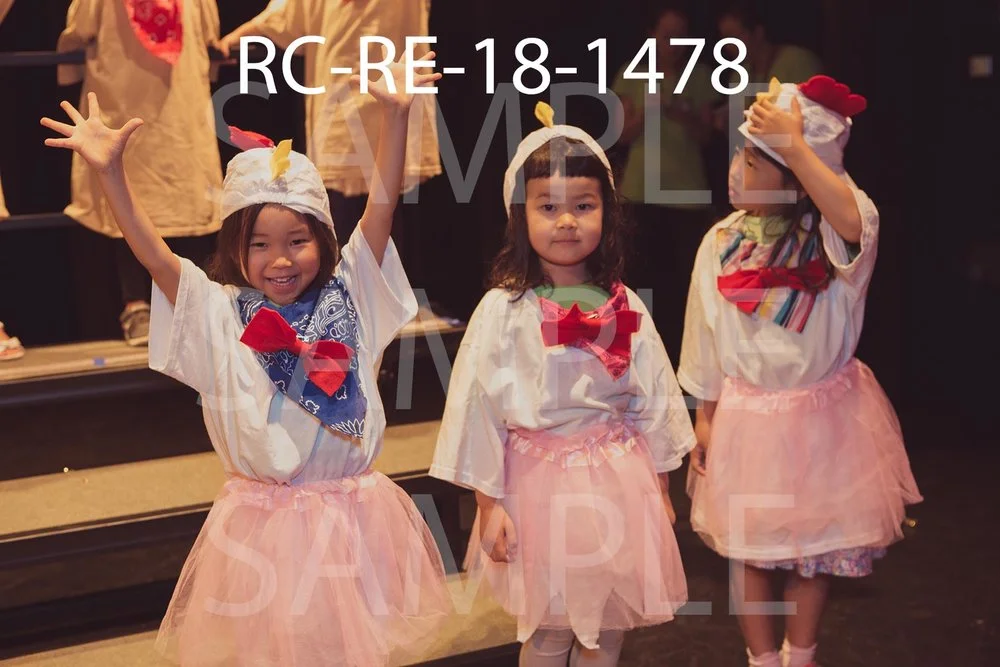 RC-RE-18-1478.jpg