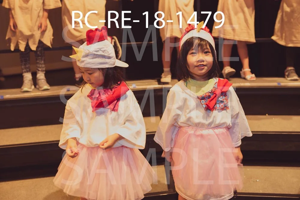 RC-RE-18-1479.jpg