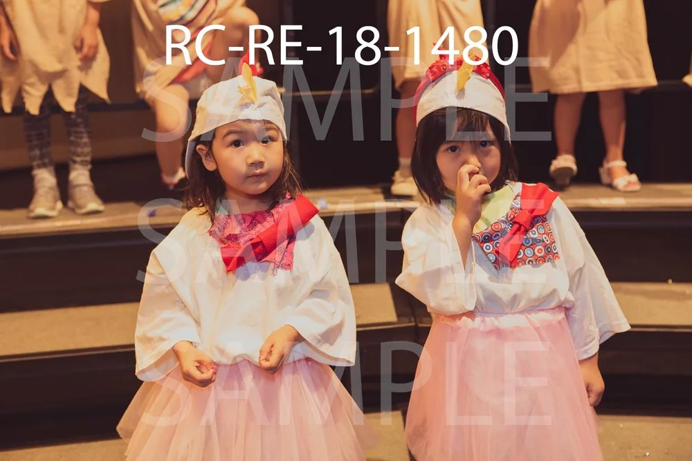RC-RE-18-1480.jpg