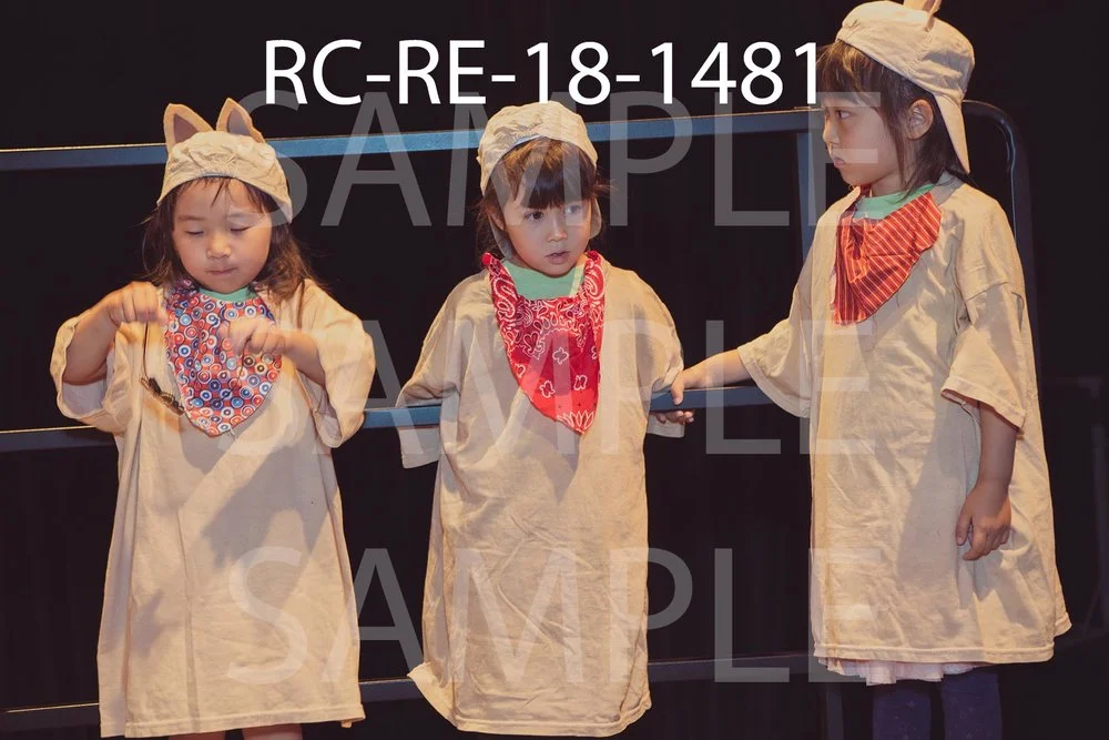 RC-RE-18-1481.jpg