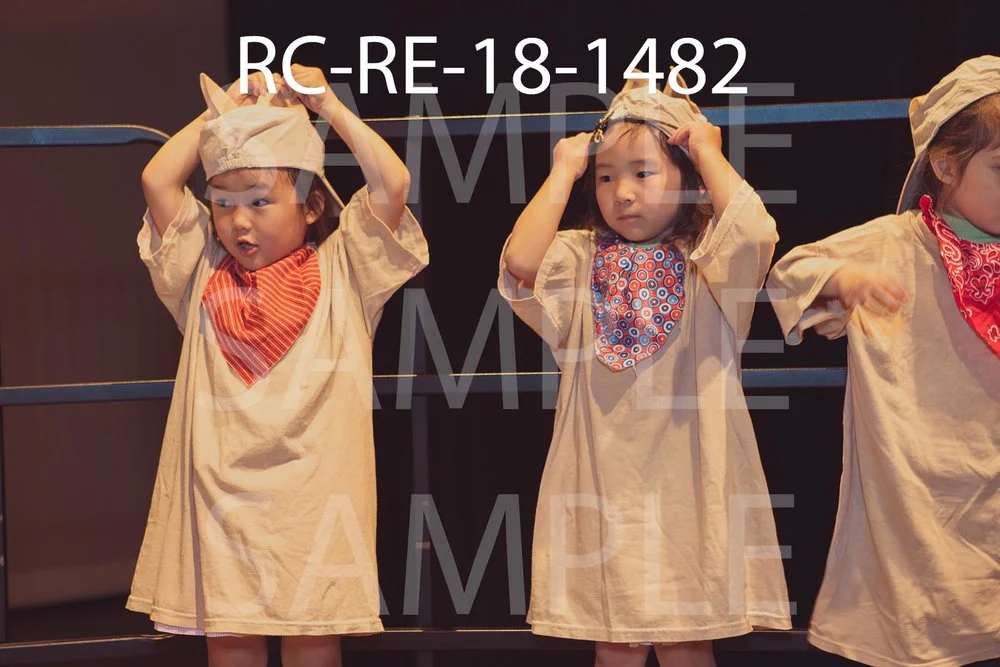 RC-RE-18-1482.jpg