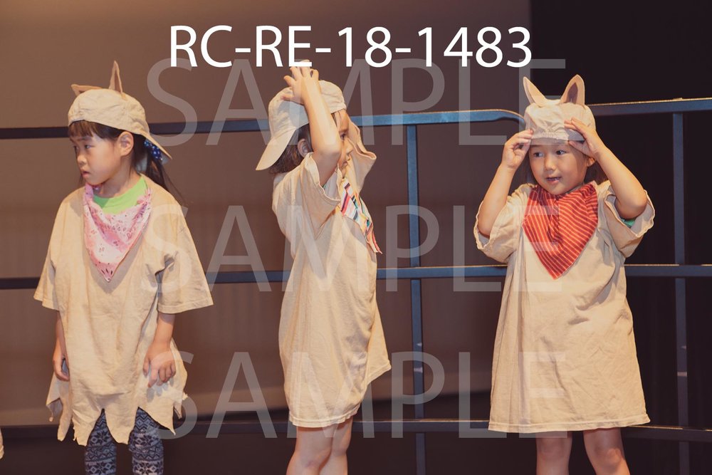 RC-RE-18-1483.jpg