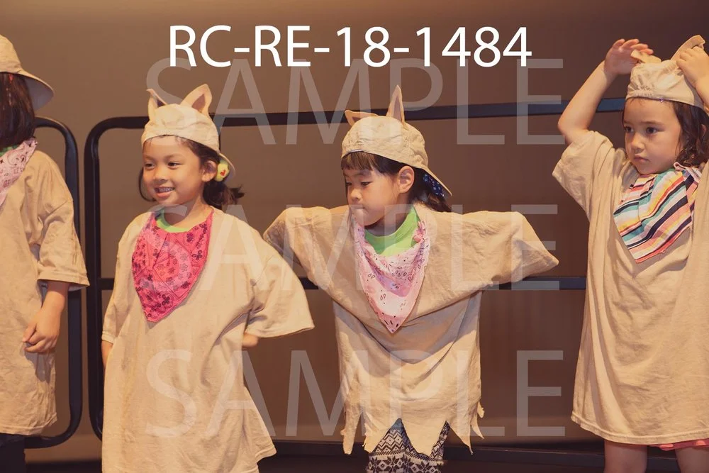 RC-RE-18-1484.jpg