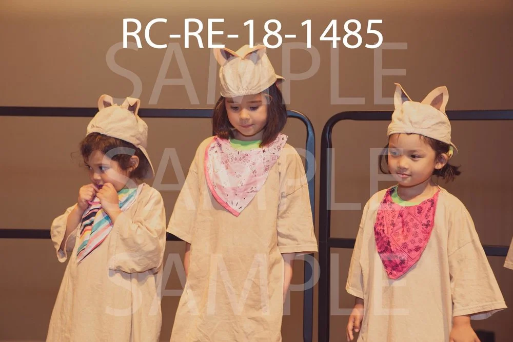 RC-RE-18-1485.jpg