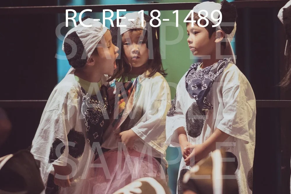 RC-RE-18-1489.jpg
