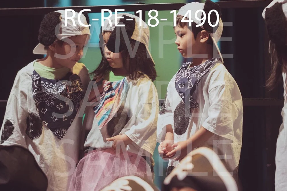 RC-RE-18-1490.jpg