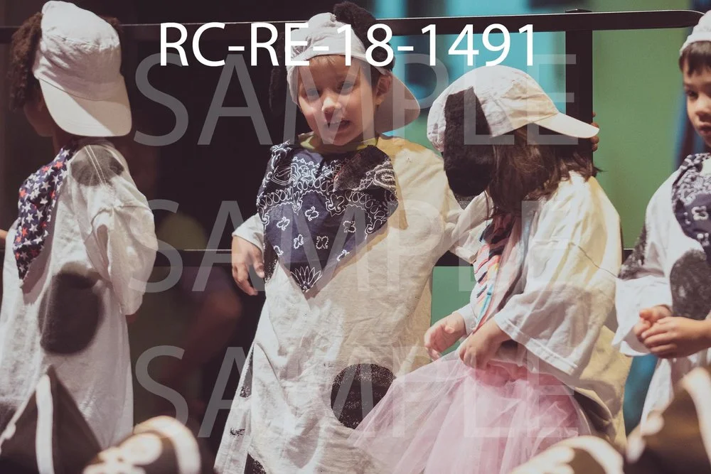 RC-RE-18-1491.jpg