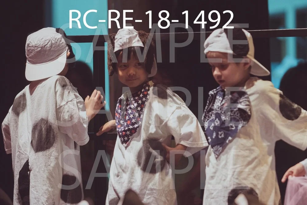 RC-RE-18-1492.jpg
