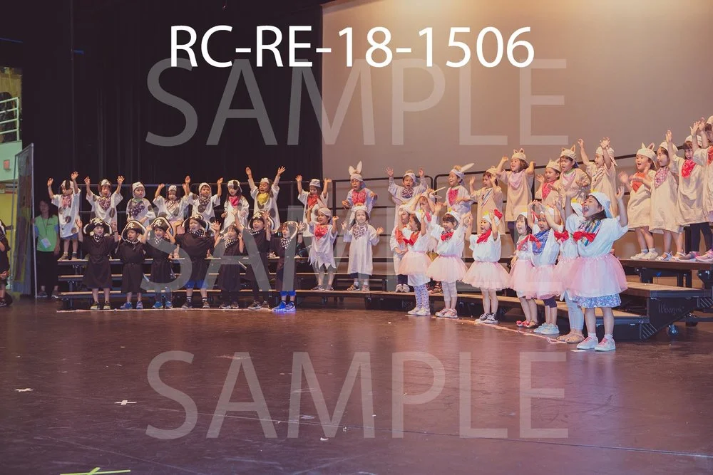 RC-RE-18-1506.jpg