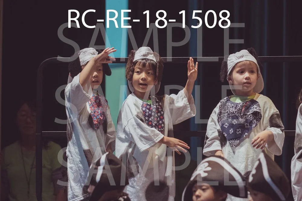 RC-RE-18-1508.jpg