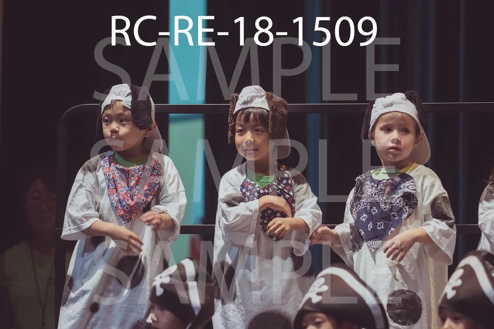 RC-RE-18-1509.jpg